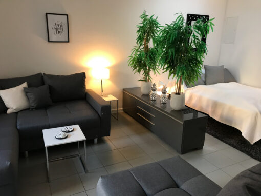 Apartment Rheinbach